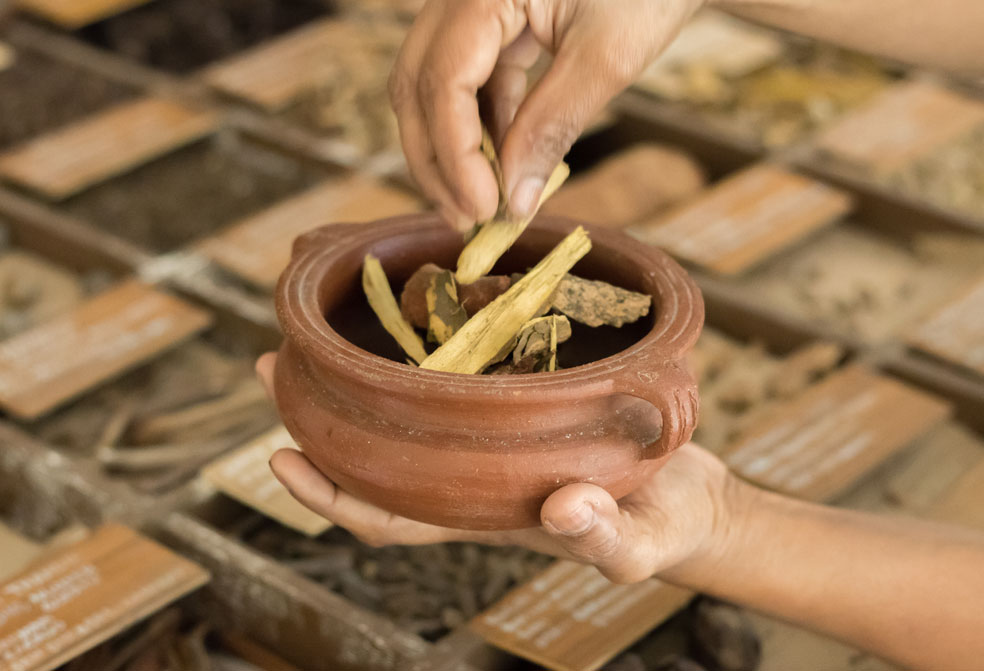 medicines in manchatty at ayura spa,cardamom county, thekkady