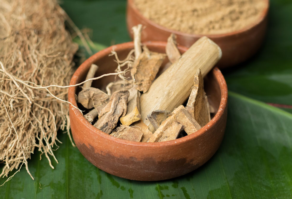 medicine roots and stems in manchatty at ayura spa,cardamom county, thekkady