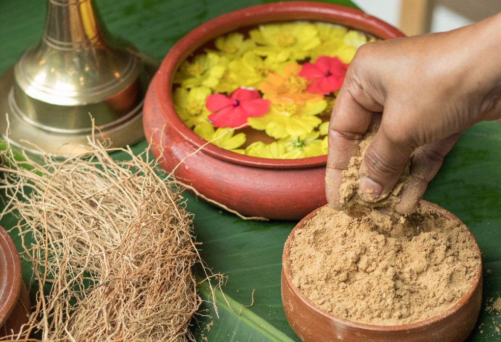 roots powdered in manchatty at ayura spa,cardamom county, thekkady