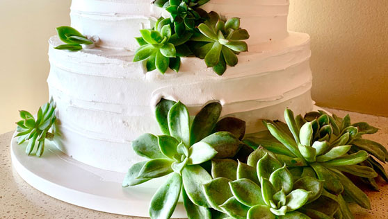 Xandari Resorts - Costa Rica - wedding cake