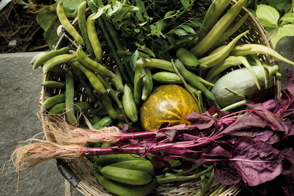 farm to table philosophy at the xandari pearl