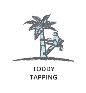 TODDY TAPPING