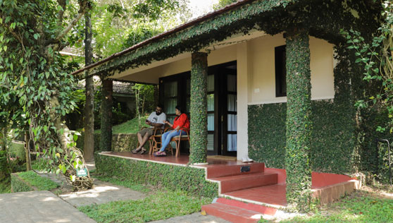 periyar cottage at cardamom county, thekkady