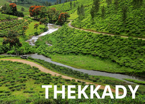 Tea gardens and winding roads in the mountains of Thekkady hill station