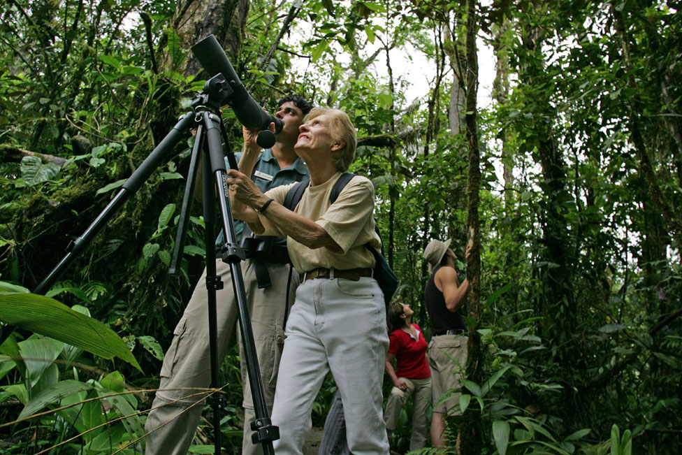 Bird watching costa rica xandari resorts central america