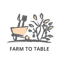 FARM TO TABLE