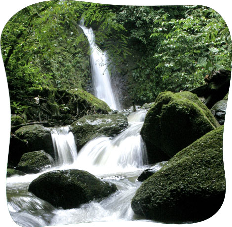 Natural waterfalls at xandari costa rica