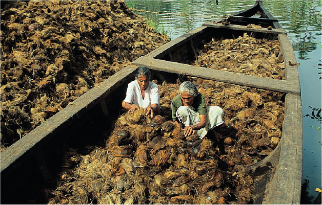 coconut husk preparing