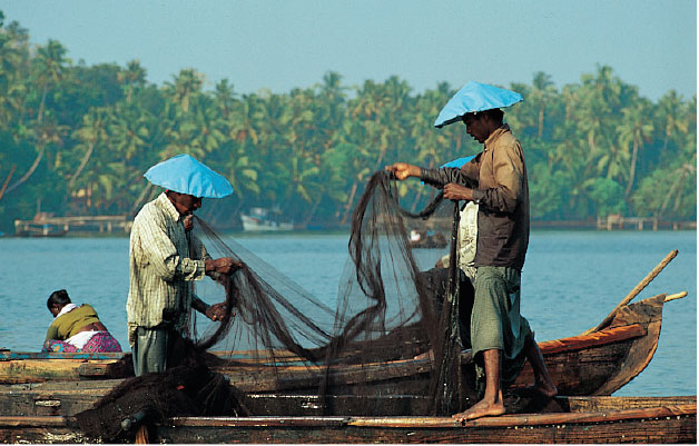 fishing preparation
